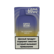 FLUM Pebble 6000 Черника дыня 2%
