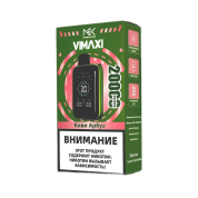 MASKKING VIMAXI 20000 Киви арбуз 2%
