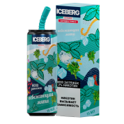 ICEBERG XXL 6000 Освежающая мята 2%