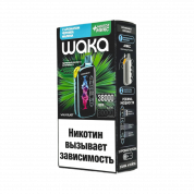 WAKA FT 38000 HARD Черника малина + ментол микс 2%