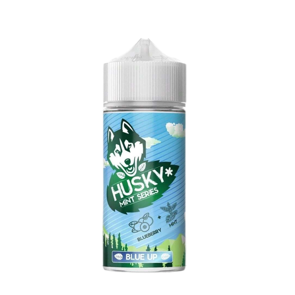 HUSKY SALT MINT Черника мята 30мл 2%