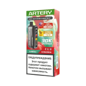 ARTERY CL6 30000 Flavor+Nic Мята малина 2%