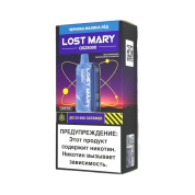 LOST MARY OS 25000 Черника малина лёд 2%
