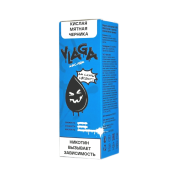 VLAGA КИСЛЯК Кислая мятная черника 30мл.20мг.