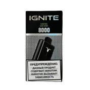 IGNITE V 80 8000 Кактус 2%