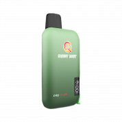 Q5 PRO PLUS 10000 Сладкая мята 2%