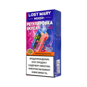LOST MARY MIXER+ 25000 Черника малина роза 2%