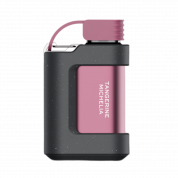 VOZOL GEAR 6000 Мандарин михелия 2%