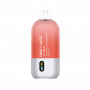 FUNKY LANDS 10000 Арбуз малина и двойной лед 2%