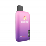 Q5 PRO PLUS 10000 Ежевика 2%