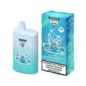 GANG HUGE 5500 Мохито лесные ягоды 2%