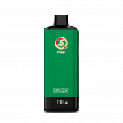 Q5 PRIME 12000 Холодная мята 2%