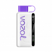 VOZOL STAR 9000 Ягодный микс 2%