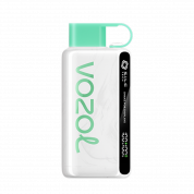 VOZOL STAR 10000 Клубника киви 2%