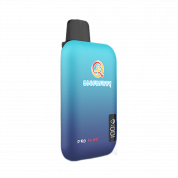 Q5 PRO PLUS 10000 Черника 2%