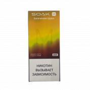 SOAK M NEW 6000 Запеченая груша 2%