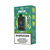 MASKKING VIMAXI 20000 Мята дыня 2%