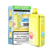 ARTERY CL6 50000 Nic+Ice Арбузно лимонная жвачка 2%