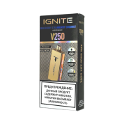 IGNITE V 250 Gold 25000 Черника клубника кокос 2%