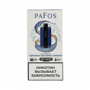PAFOS 20000 HARD EXTRA Черника малина лимон 2%