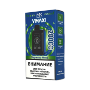 MASKKING VIMAXI 20000 Черника мята 2%