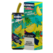 ICEBERG XXL 6000 Лимон мята 2%