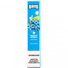 GANG Ледяная черника 2% 800 Затяжек