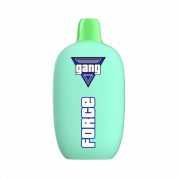 GANG FORCE 10000 Голубика лайм мята 2%