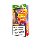 ARTERY CL6 30000 Flavor+Nic Манго черная смородина 2%